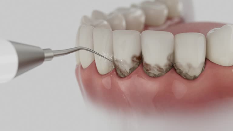 Reliable Dental contractor in New Deal, TX by Dentist Open Now